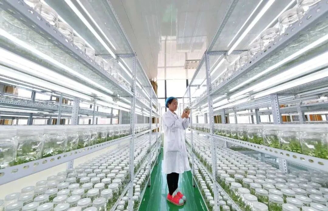 殷殷嘱托记心间——内蒙古乌兰察布公安以高效能治理护航绿色发展、守护“东数西算” 